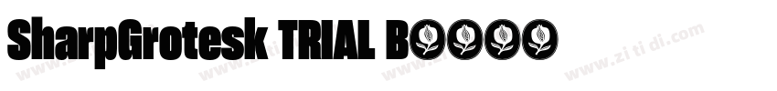 SharpGrotesk TRIAL B字体转换 SharpGrotesk TRIAL B字体转换